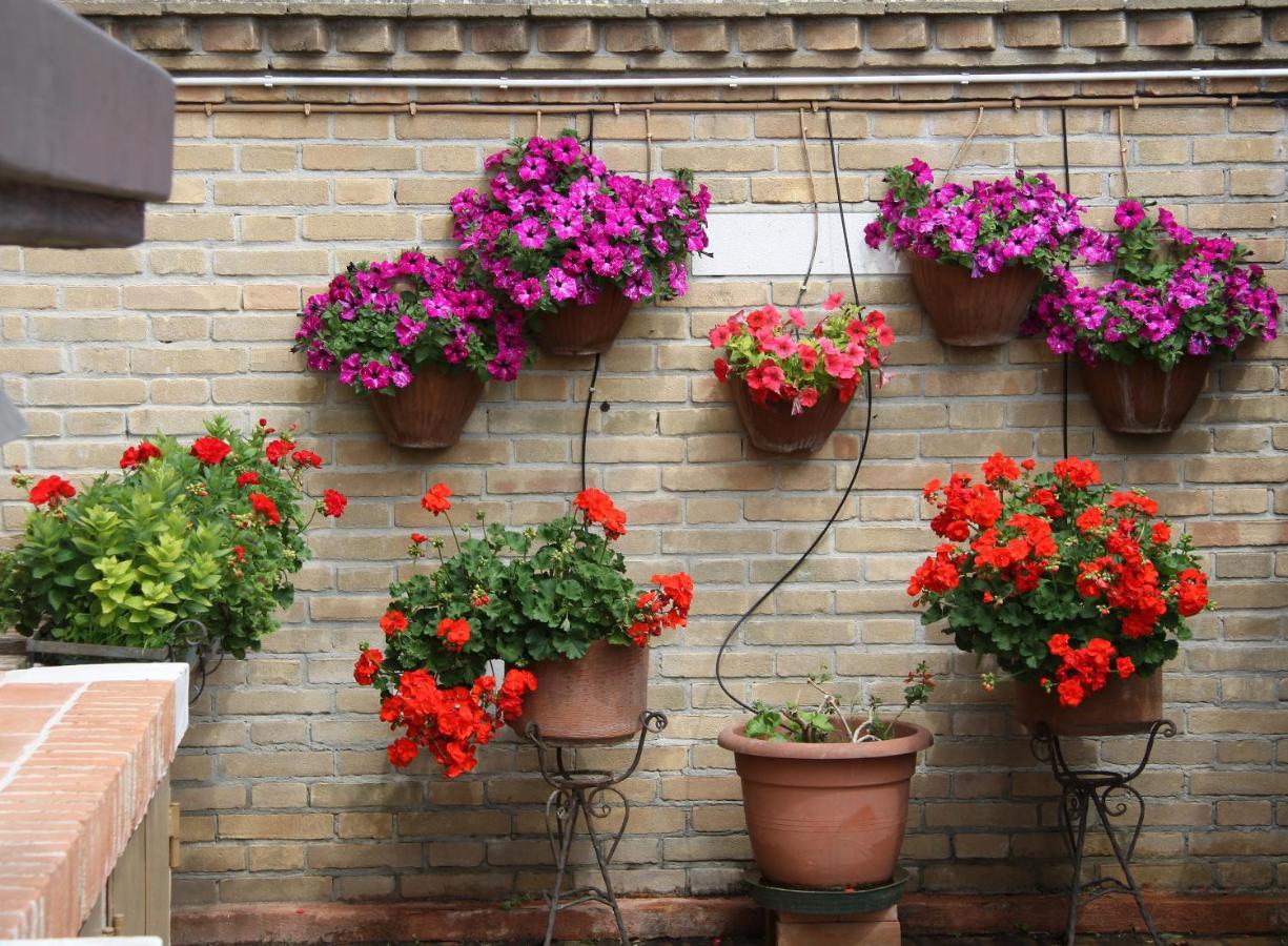 Murano Garden House Apartment Exterior photo